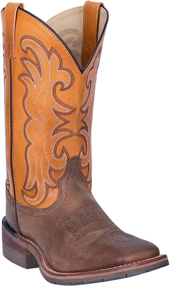 Dan Post Men's Ferrier